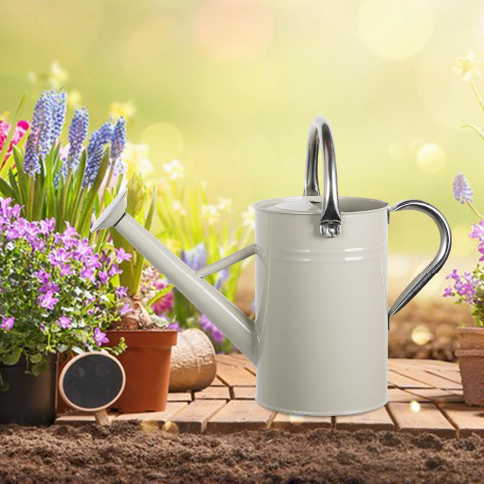 Baoblaze 5L Gießkanne für Pflanzen, Gartengießkanne mit Abnehmbarem, Pflanzengießkanne mit Großer Griff aus Edelstahl, Großem Fassungsvermögen, Feiner Sprüher, für Zimmer- und Außenpflanzen, Weiß