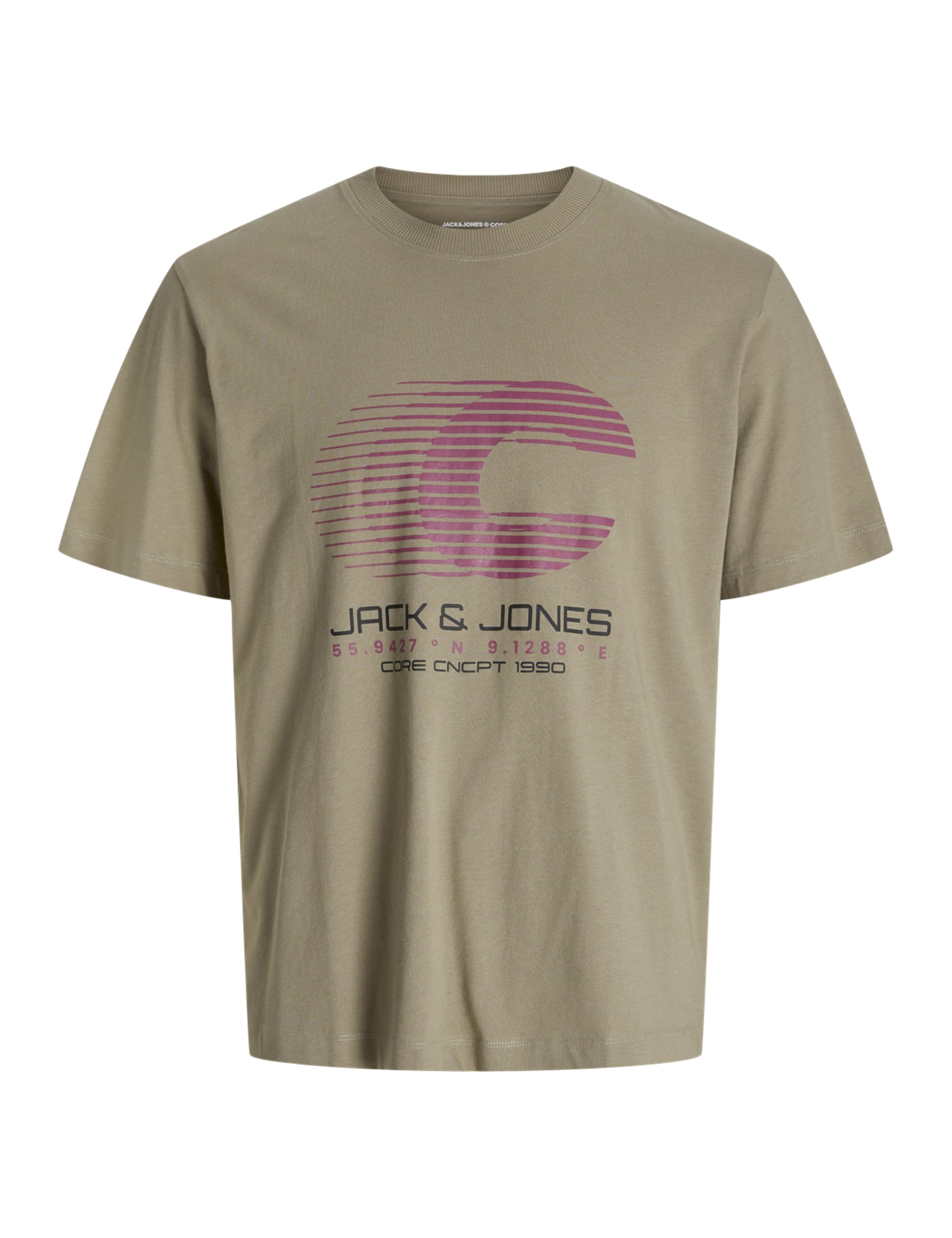 JACK & JONES Jcovibrant Tee SS Crew Neck Styd Aw24, Silver Sage, XXL