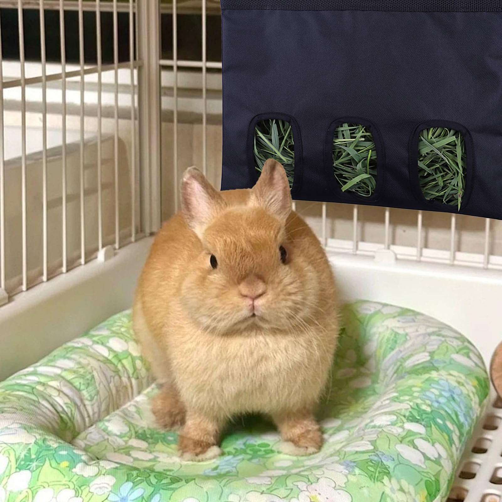 Mangeoire à Foin pour Lapin,Cochon d'Inde,Sac de Rangement,Lavable à Suspendre Automatique,Distributeur Pratique pour Petits Animaux pour Lapin,Chinchilla Hamster(3 Ouvertures)