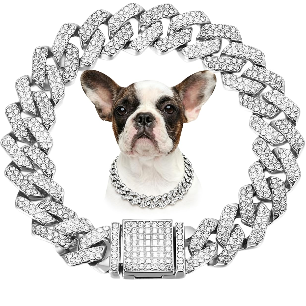 Bijoux pour petits moyens et grands chiens pour célébrer l'amour de votre animal