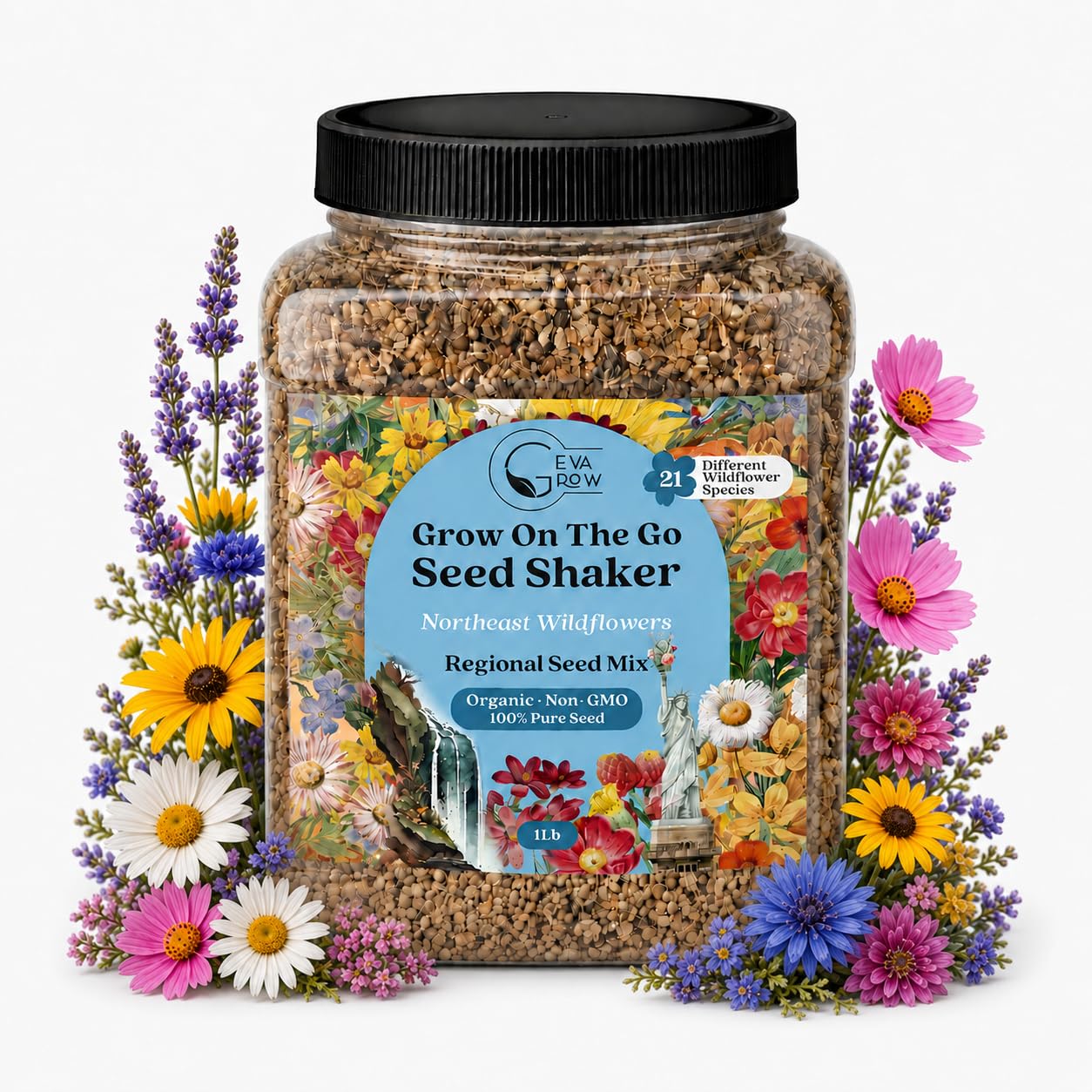 Regional Wildflower – Northeast USA Mix