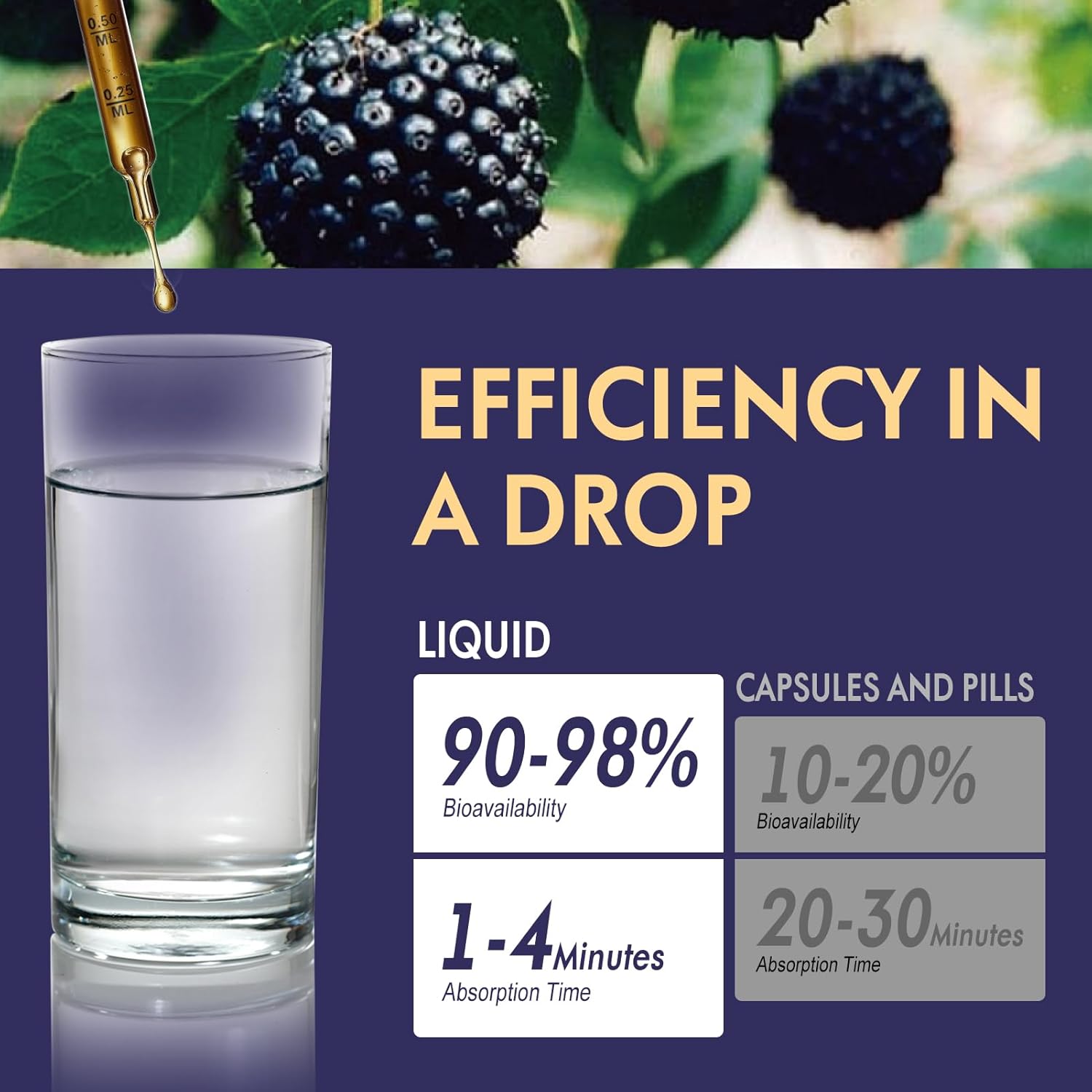 Siberian Ginseng Extract Liquid Drops, (Eleuthero Root) Herbal Supplement for Immune Support, Energy & Stamina Boost. 7-in-1 Blend w/Rhodiola Ashwagandha Reishi Extract. 2 oz - Image 5