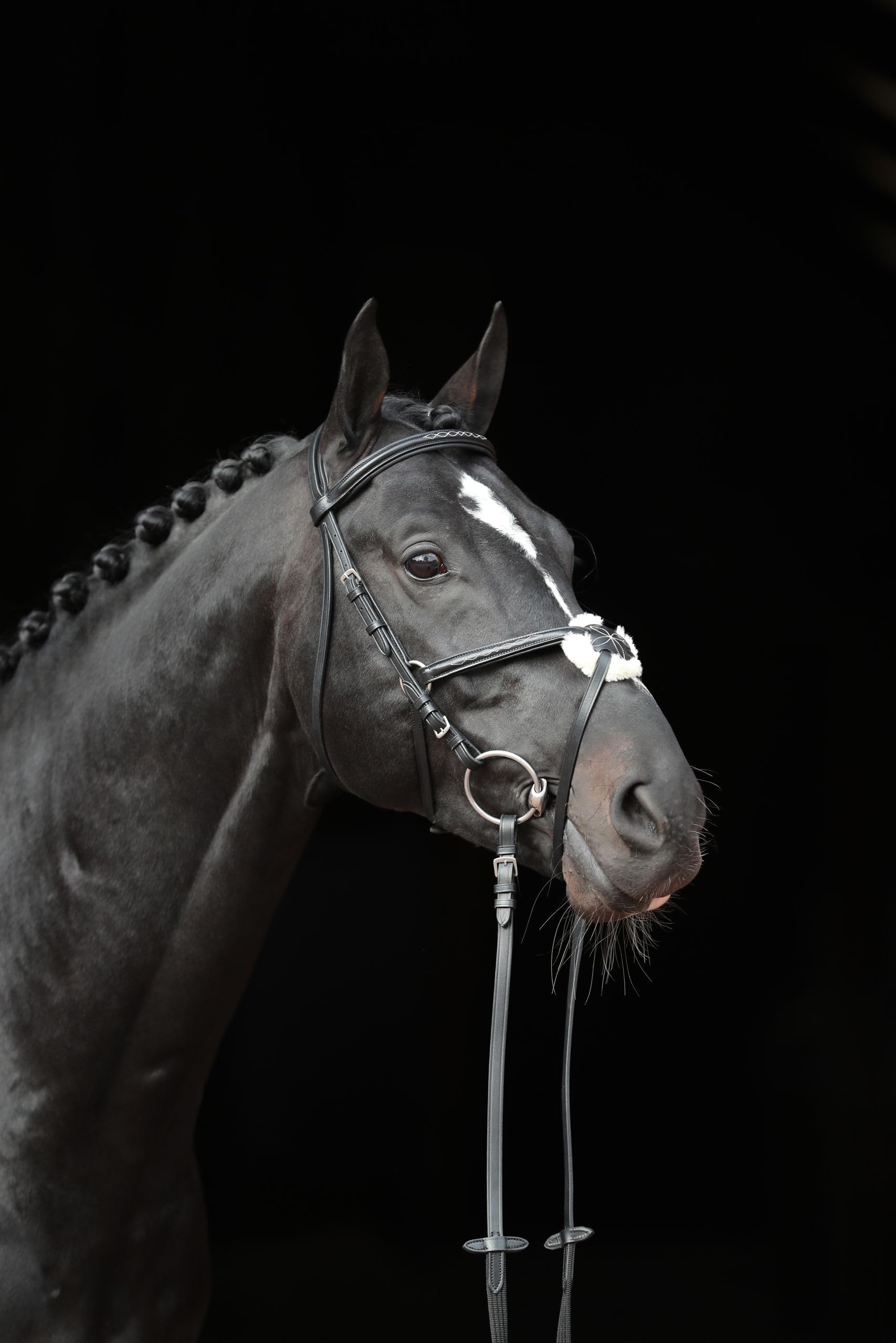 Briglia Cancun nero, pony