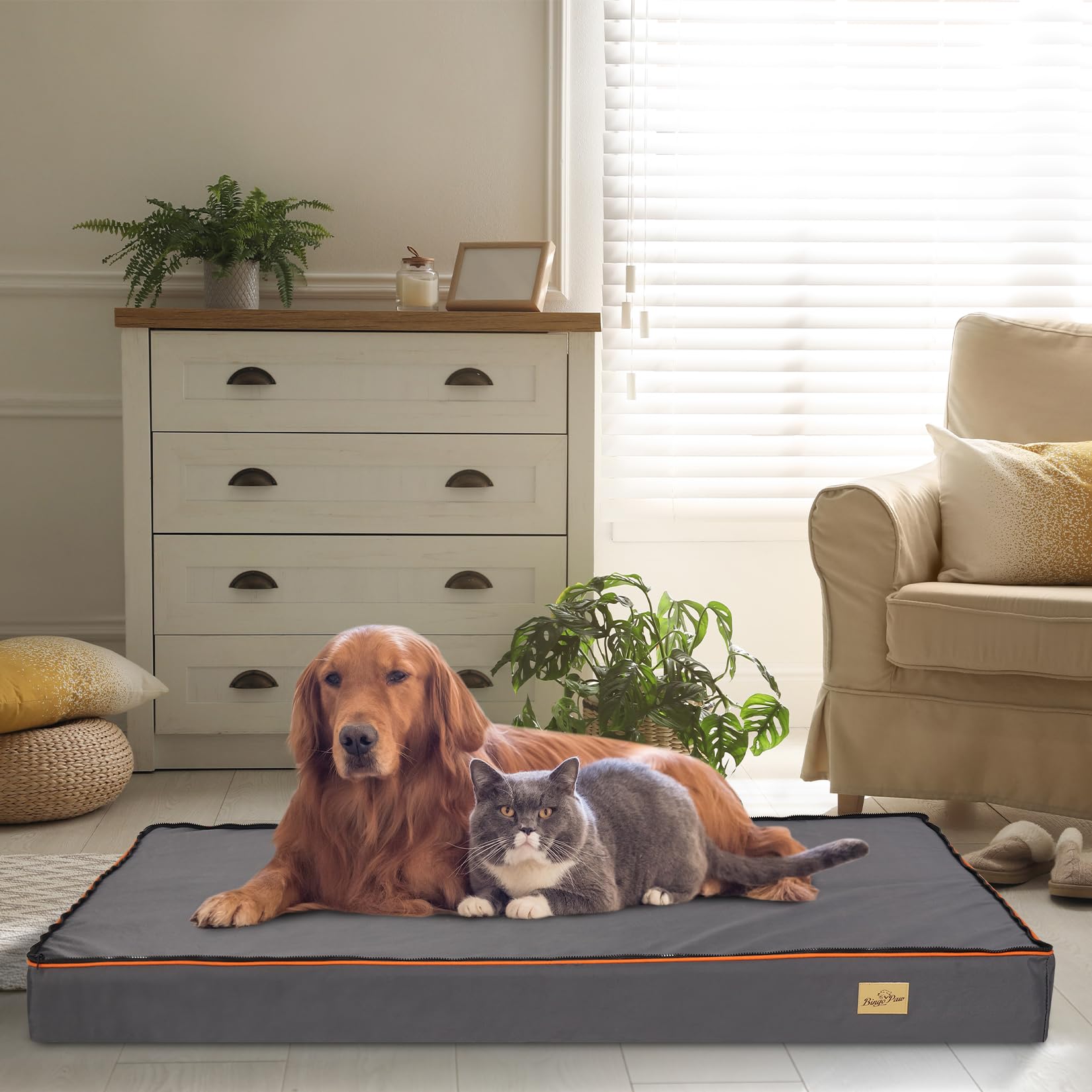 BingoPaw Cama Perro Grande XXL Cama para Perros Grandes Desenfundable,120x90cm Colchonetas para Perros Grandes Lavables Colchon Perro Viscoelastico Impermeable con Funda Suave y Espuma Ortopedica