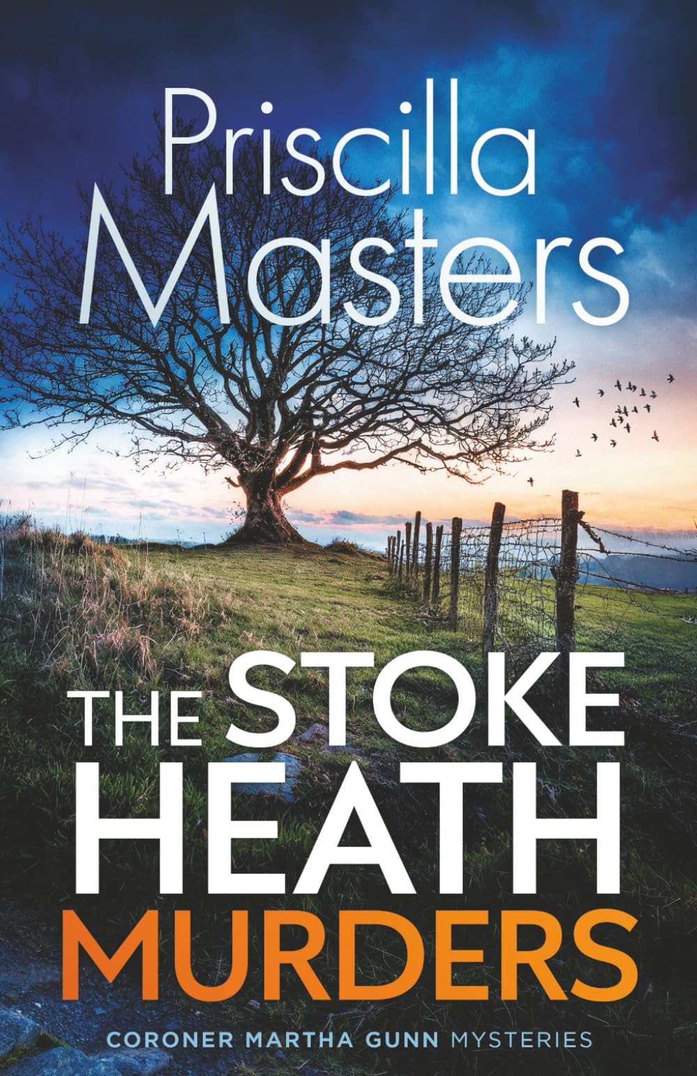 THE STOKE HEATH MURDERS an absolutely gripping and unputdownable British crime mystery (Coroner Martha Gunn)