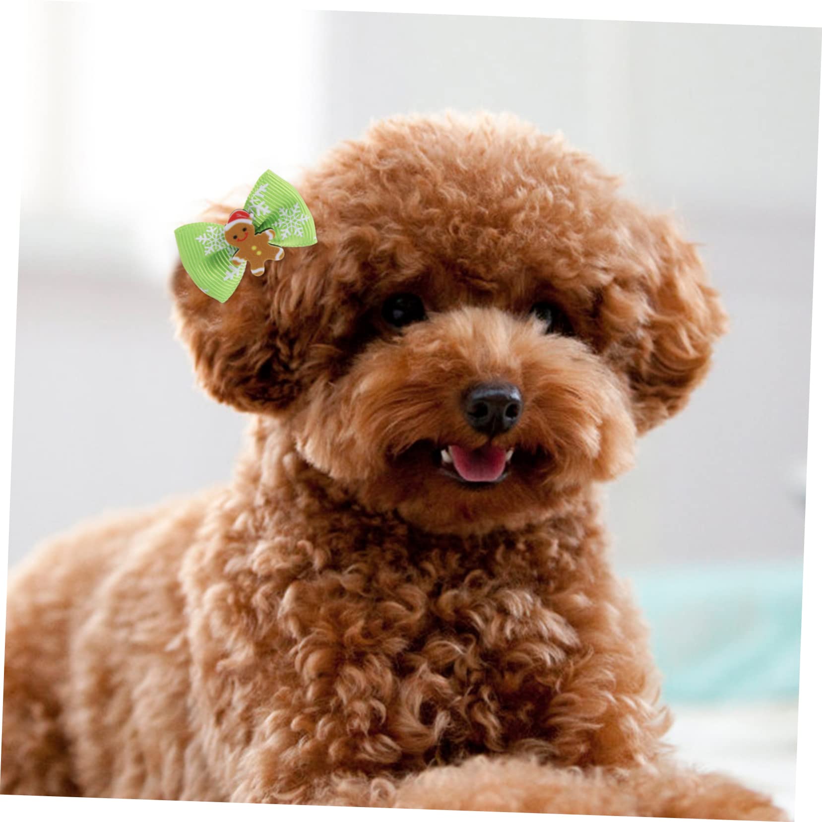 3 Juegos De Bandas De Pelo para Mascotas Lazos Navideños Cuerdas para El Pelo De Perros Accesorios Elegantes para Perros (100 Unidades)