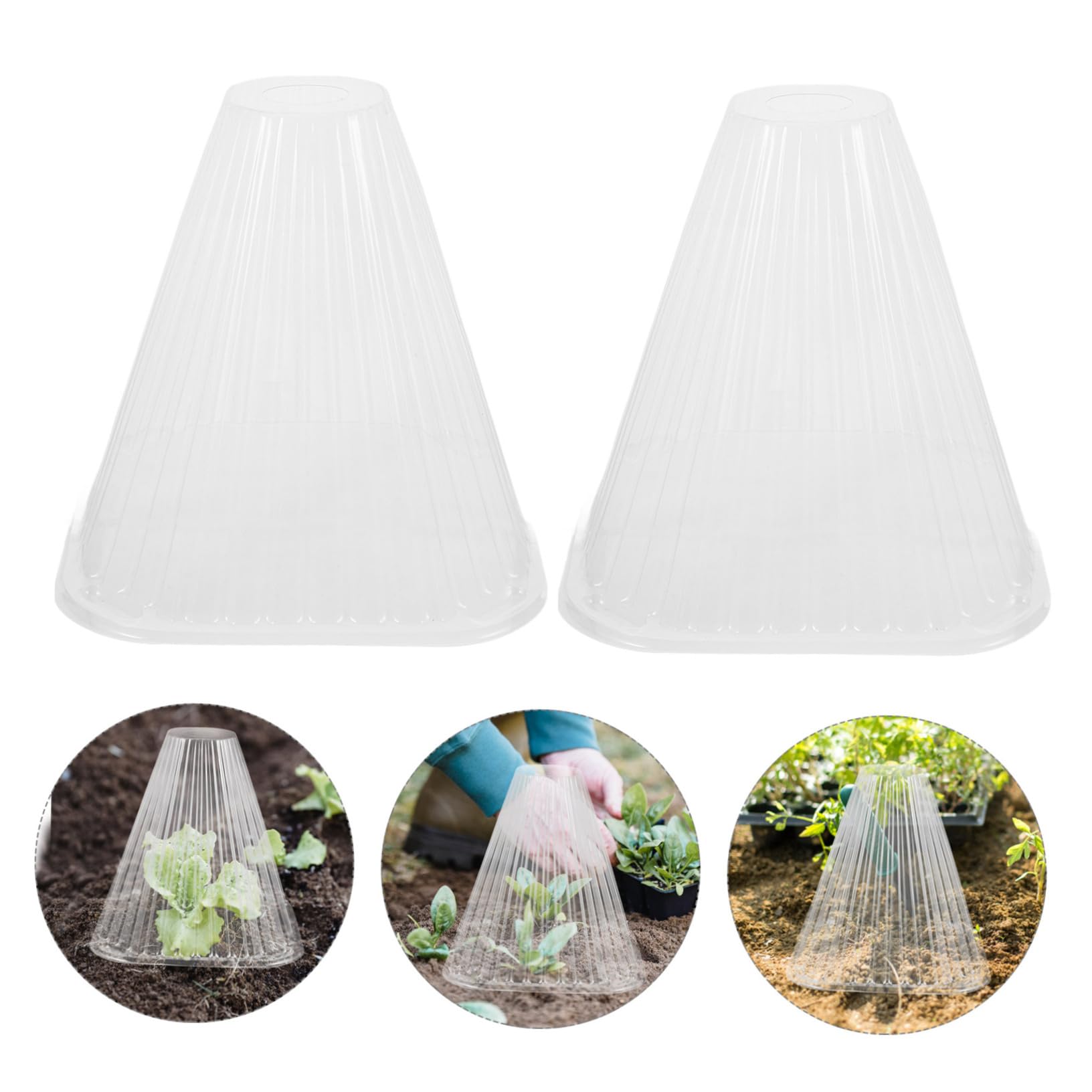 10pièces Cloche De pour Plantes De Transparent avec Ventilation pour Et Gel Chaleur Jardin