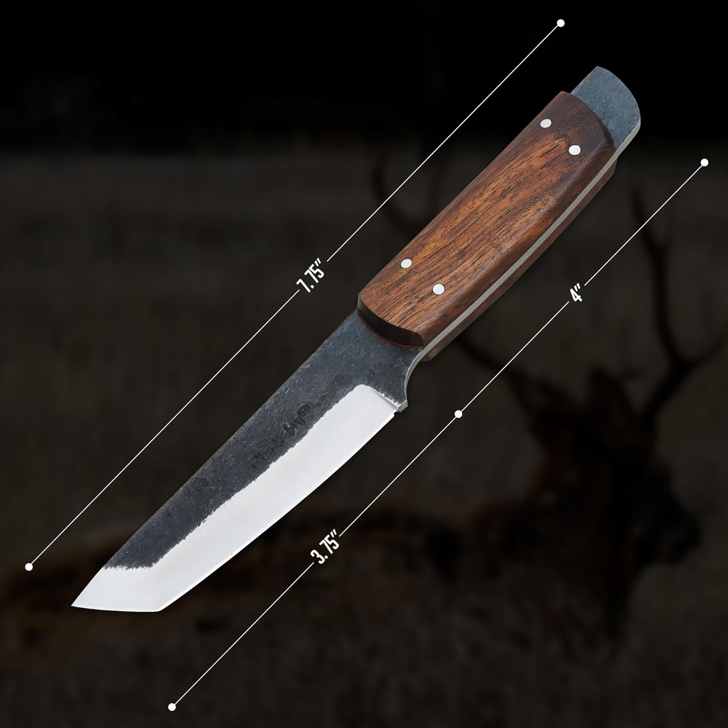 Perkin PK800 Fixed Blade Hunting Knife with Leather Sheath – 7.75” Full Tang 1095 Steel Tanto Blade, Walnut Wood Handle – Bushcraft, Camping, Fishing & Survival Knife for Outdoor