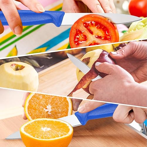 Miniatura 19 de BEWOS Juego de cuchillos de pelar de 4 piezas, cuchillos de pelar con mango ergonómico, cuchillos de pelar con triple remache de 3.5 pulgadas, acero