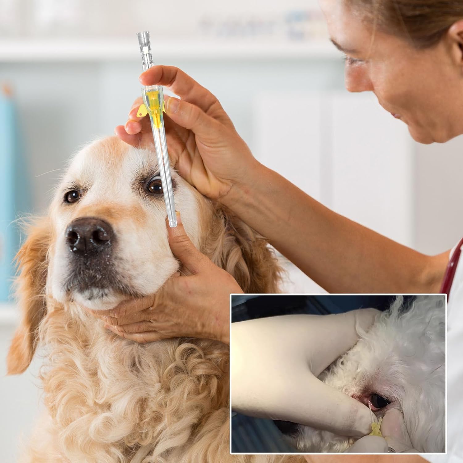 50PCS Pet Indwelling Needle,Animals IV Catheter,Disposable Veterinary Intravenous Catheters,Pet Instruments for All Animals (22G)