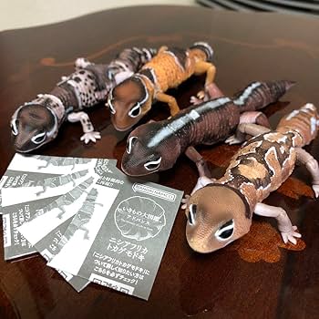 Amazon.co.jp: いきもの大図鑑 アドバンス ニシアフリカ