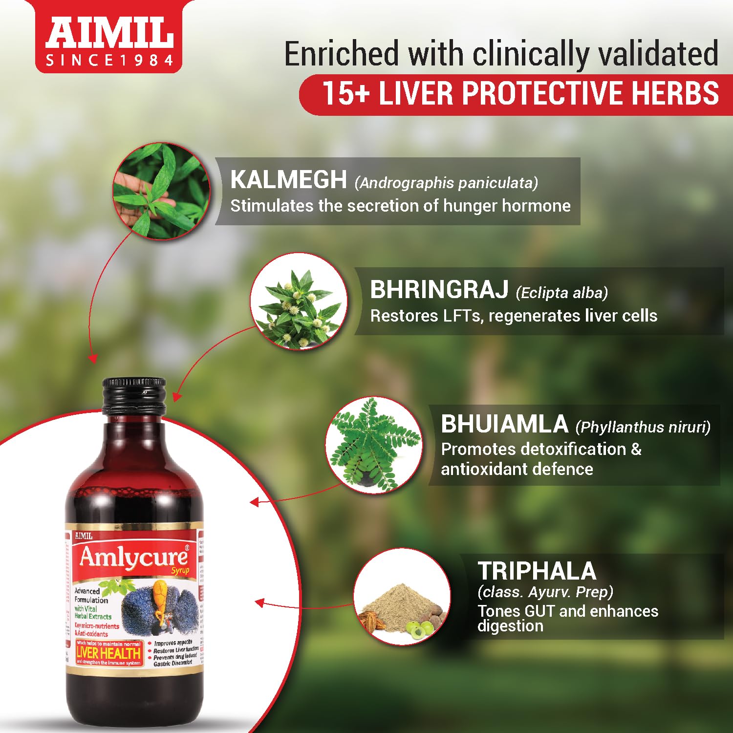 AIMIL Amlycure Syrup - 200ml (Pack of 2) | Ayurvedic Syrup for Liver Health, Improves Digestion & Better Appetite | Natural Liver Herbal Tonic | Ideal for Children — Amazon image 2