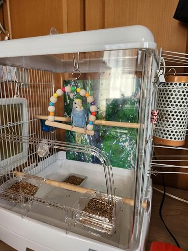 Amazon | 三晃商会 SANKO 鳥用 イージーホーム クリアバード35WH