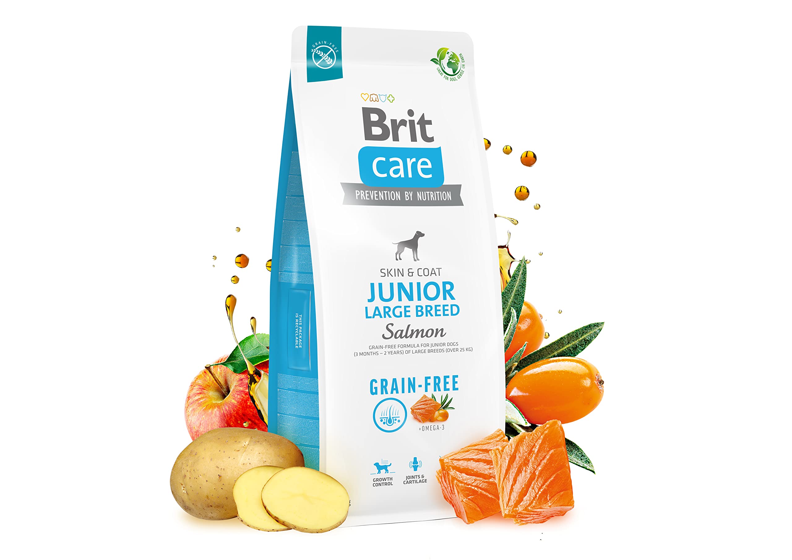 BRIT Care Dog Grain Free Junior Large Lachs, 12 kg