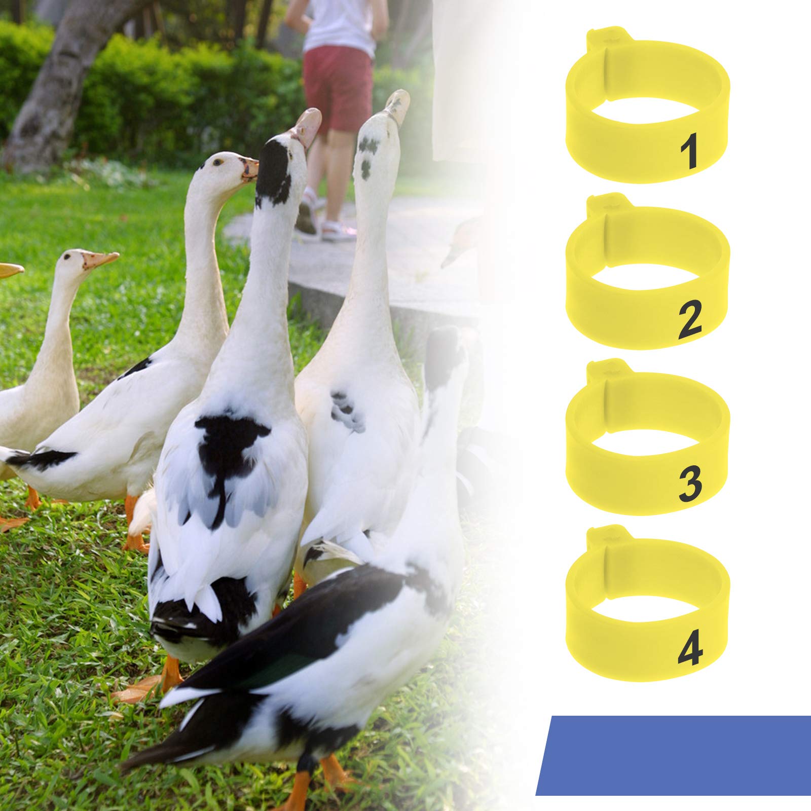 EMSea 60pcs 20mm Bagues/Anneaux de Pied pour Oiseaux Pigeon Poulet Canard Volaille en Plastique Remplacement