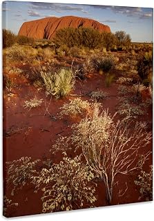 3dRose, Australia, Uluru-Kata Tjuta NP, Red desert, Ayers Rock-AU01 PSO0038 - Paul Souders, Museum Grade Canvas Wrap 16x20
