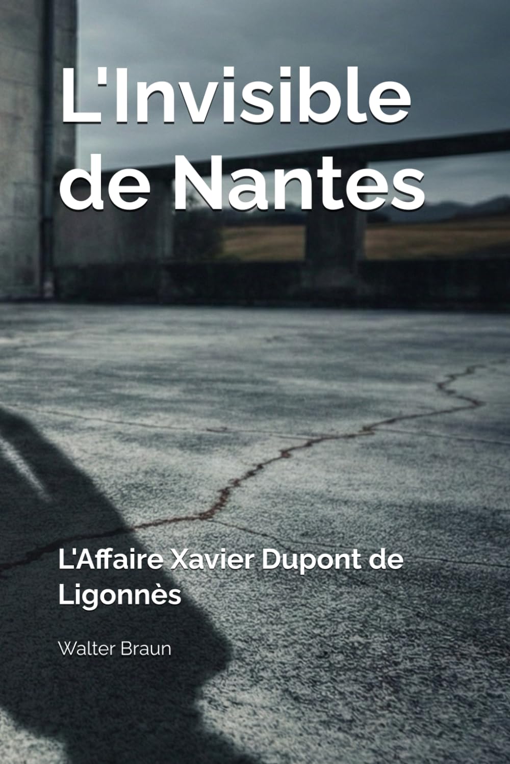 L'Invisible de Nantes: L'Affaire Xavier Dupont de Ligonnès