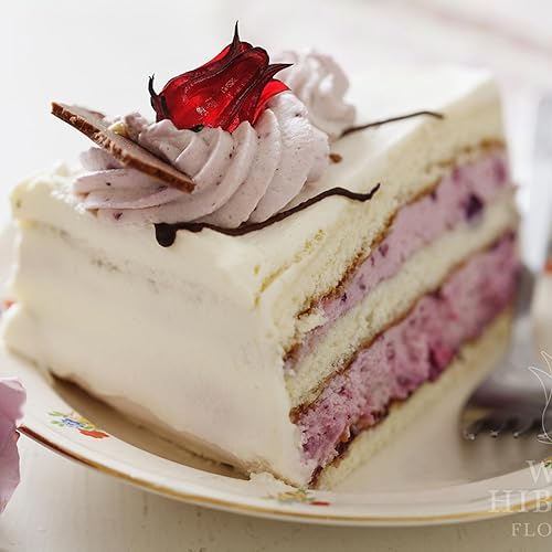 Miniatura 7 de WILD HIBISCUS FLOWER COMPANY Jarabe, 2.5 libras