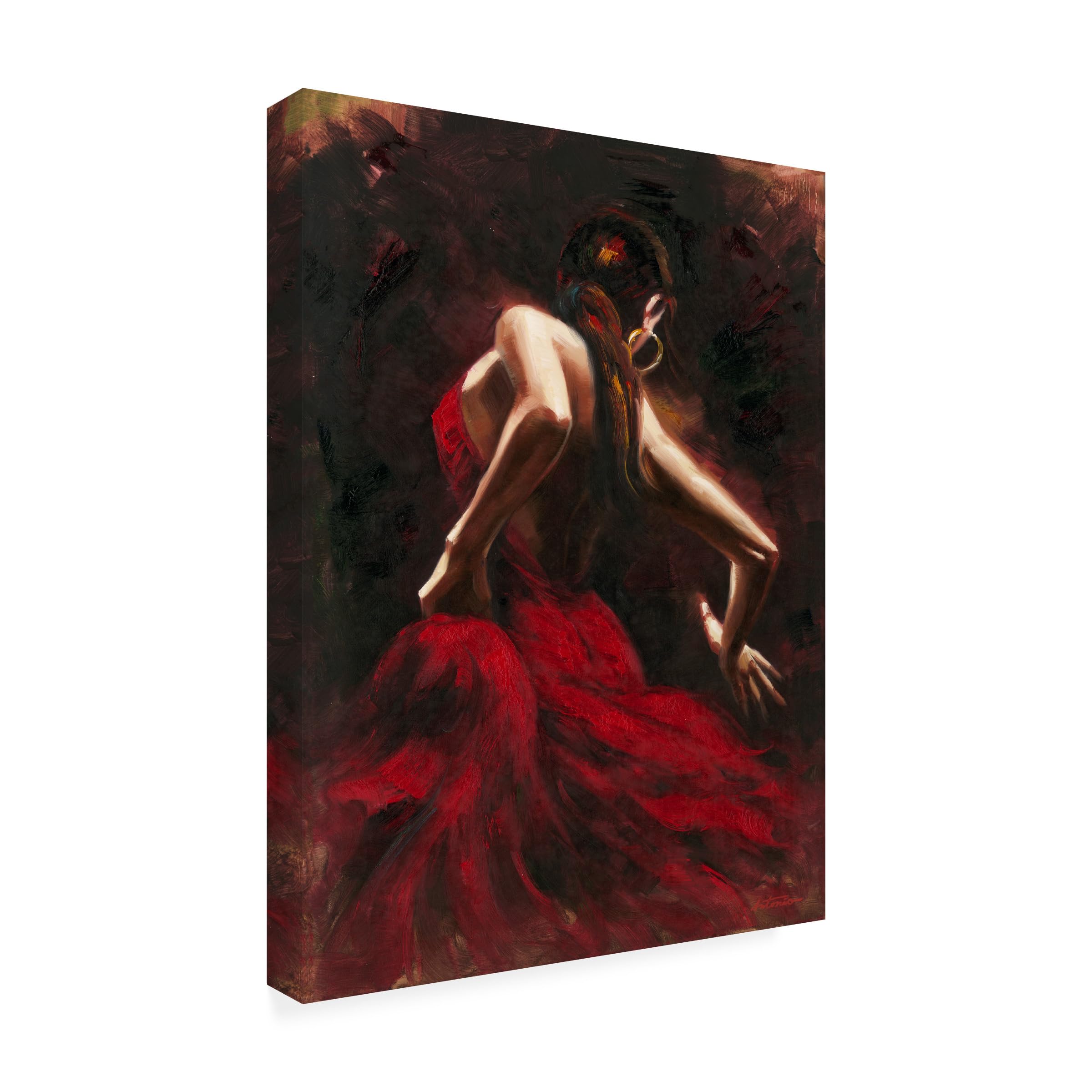 Amazon｜Trademark Fine Art Flamenco Dancer by Master's Art