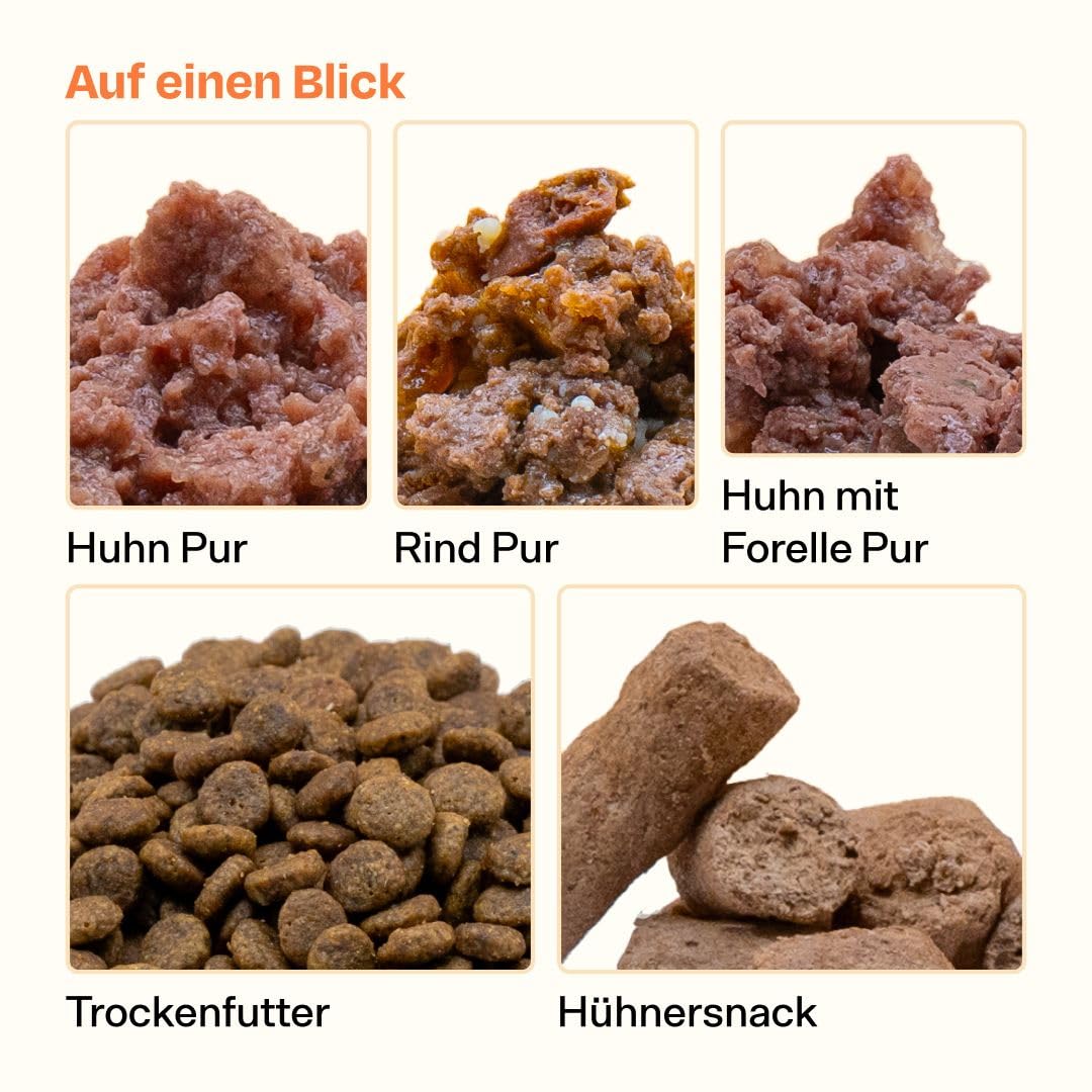 The Better Cat Maxi Probier Pack mit getreidefreiem Nassfutter, Trockenfutter und gefriergetrockneten Snacks mit viel Fleisch, Präbiotika, Probiotika und Superfoods ohne Zucker