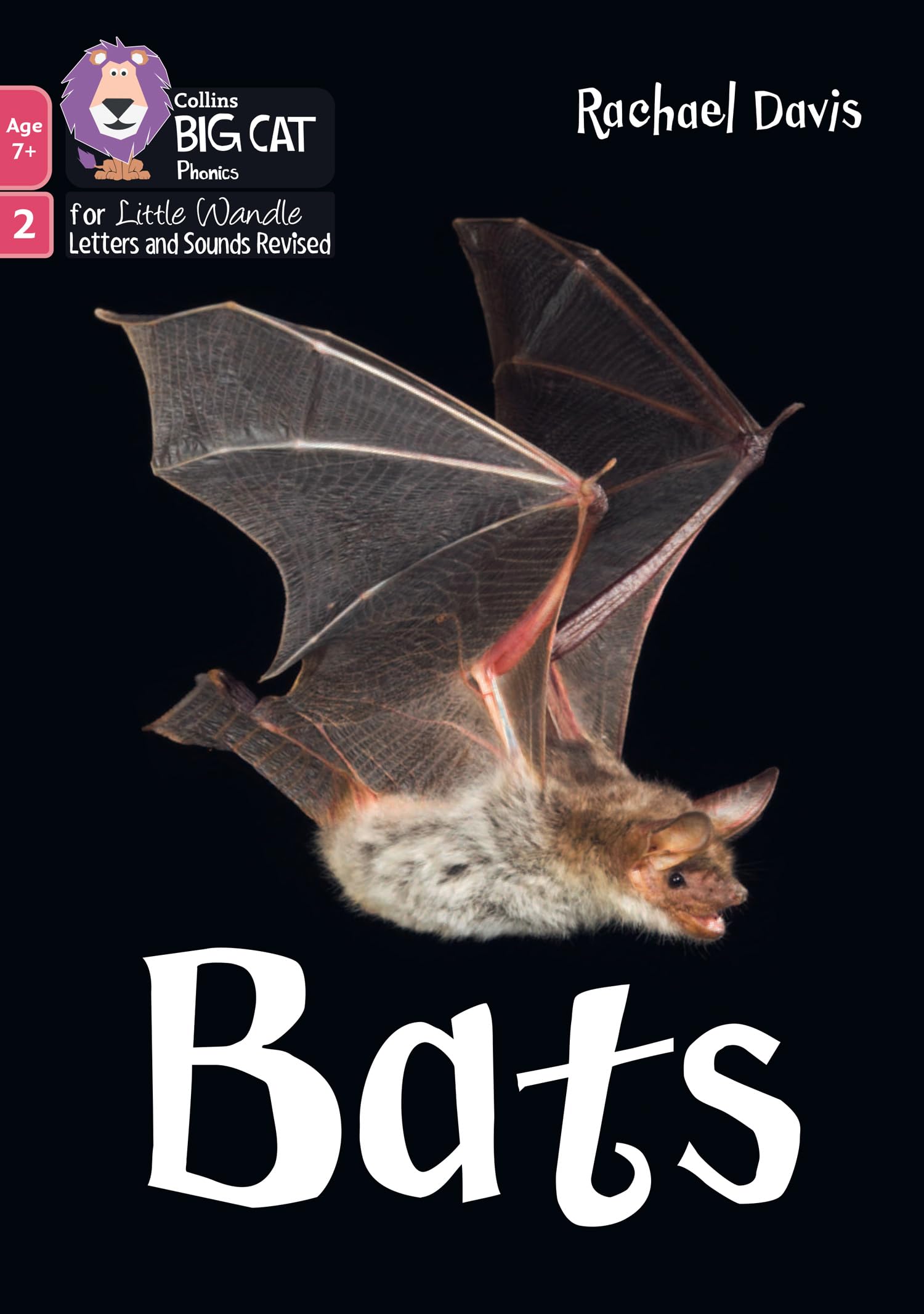 Bats: Phase 2 Set 5 (Big Cat Phonics for Little Wandle Letters and Sounds Revised – Age 7+)