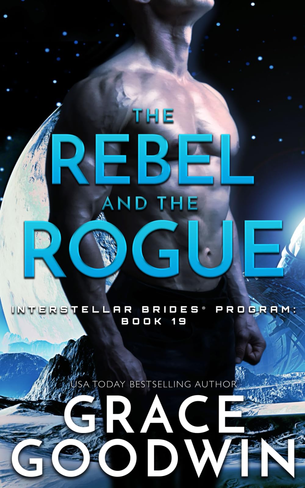Cover of The Rebel and the Rogue