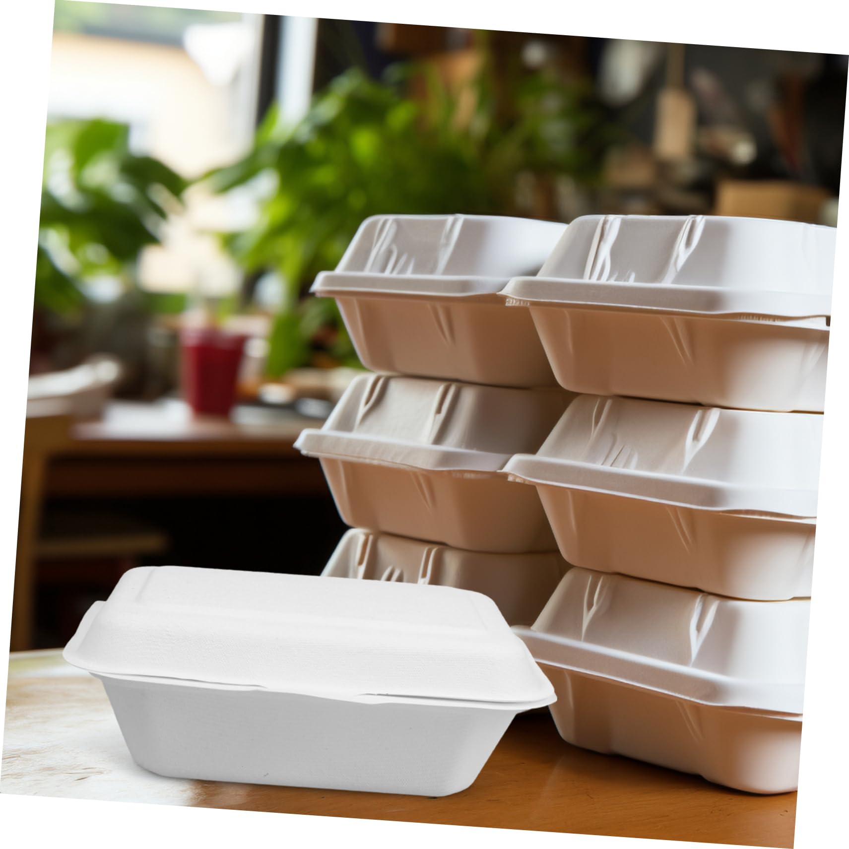 Garneck Contenitori Alimentari Usa e Getta Biodegradabili in Carta Bianca da 600ml, Scatole Take Away Multiuso per Dolci e Cibo, Confezione da 50 Pezzi