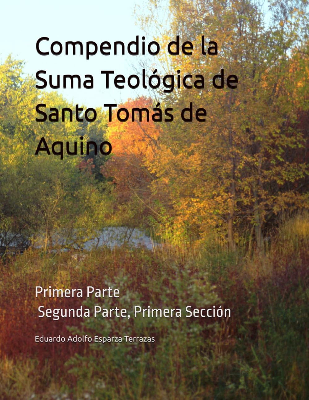 Compendio de la Suma Teológica de Santo Tomás de Aquino: Primera Parte y Segunda Parte, Primera Sección