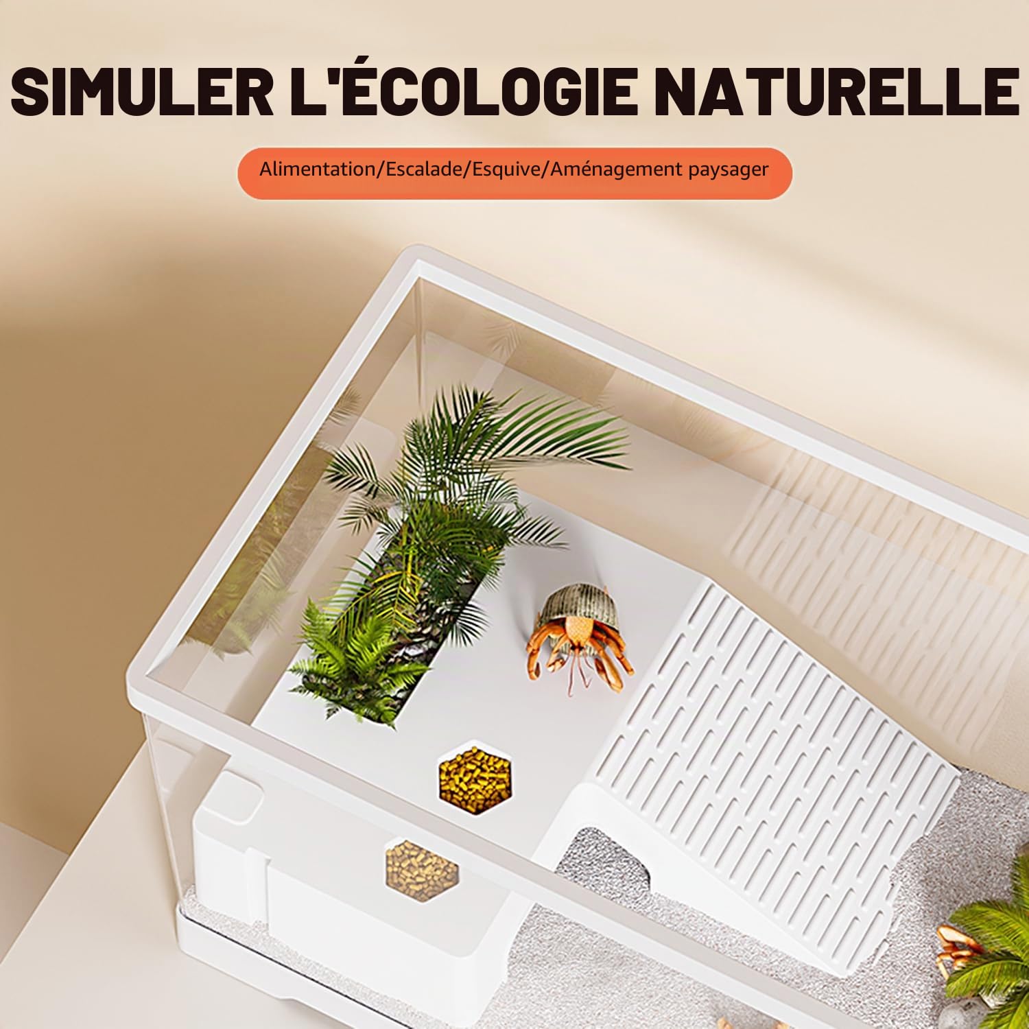 Aquarium pour tortues avec plateforme et drainage inférieur, 30 x 17,8 x 18,5 cm, pour tortues juvéniles, écrevisses, crabes, amphibiens, reptiles - Blanc