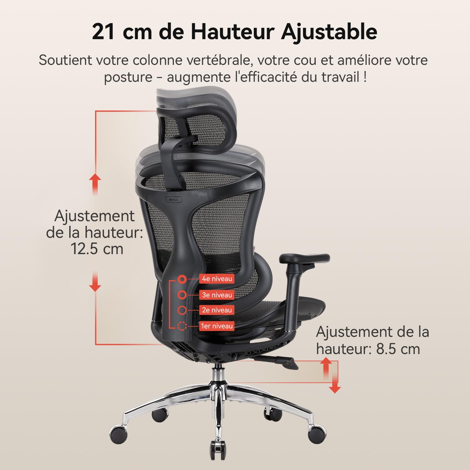 SIHOO Doro C300 Chaise de Bureau Ergonomique avec Accoudoirs Ultra Doux en 3D, Soutien Lombaire Dynamique pour Chaise Bureau à Domicile, Fauteuil de Bureau avec Dossier réglable(Noir)