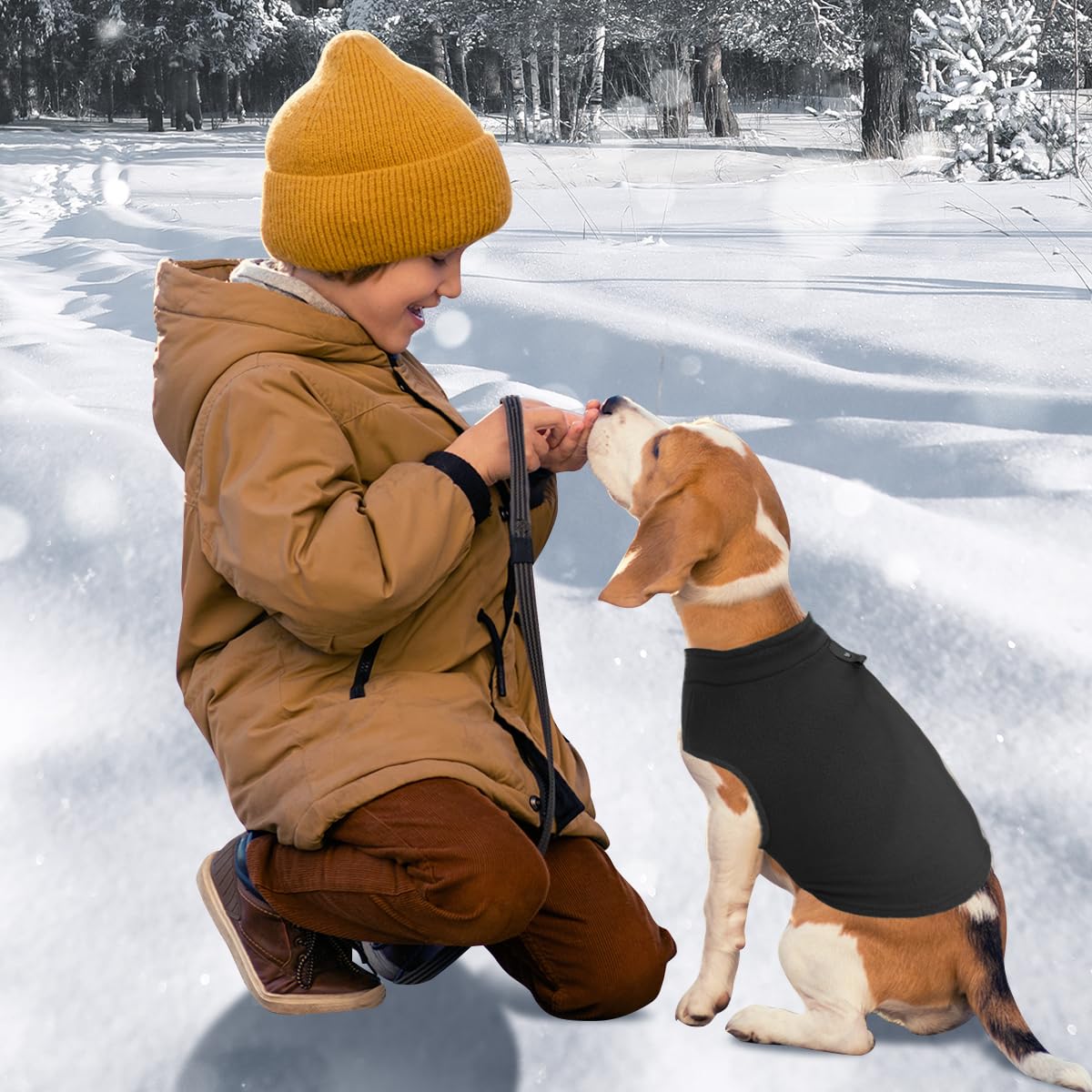 Maglioncino e Cappottino per Cani di Taglia Piccola - Vestito per Cane e Gatto con Anello a D (Nero, M)