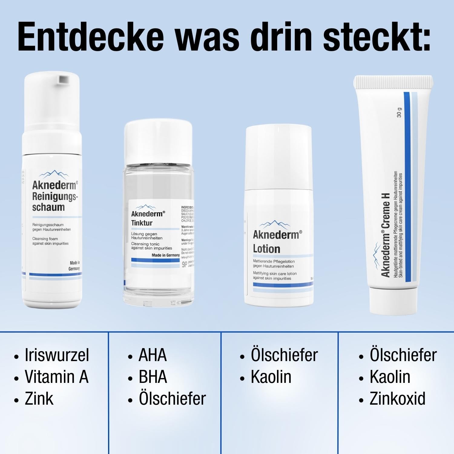 aknederm Premium Set für normale Haut - Set mit Tinktur/Reinigungsschaum/Lotion/Creme H & Reinigungspads - natürliches Skincare Set - ideal zur Akne Behandlung 780g