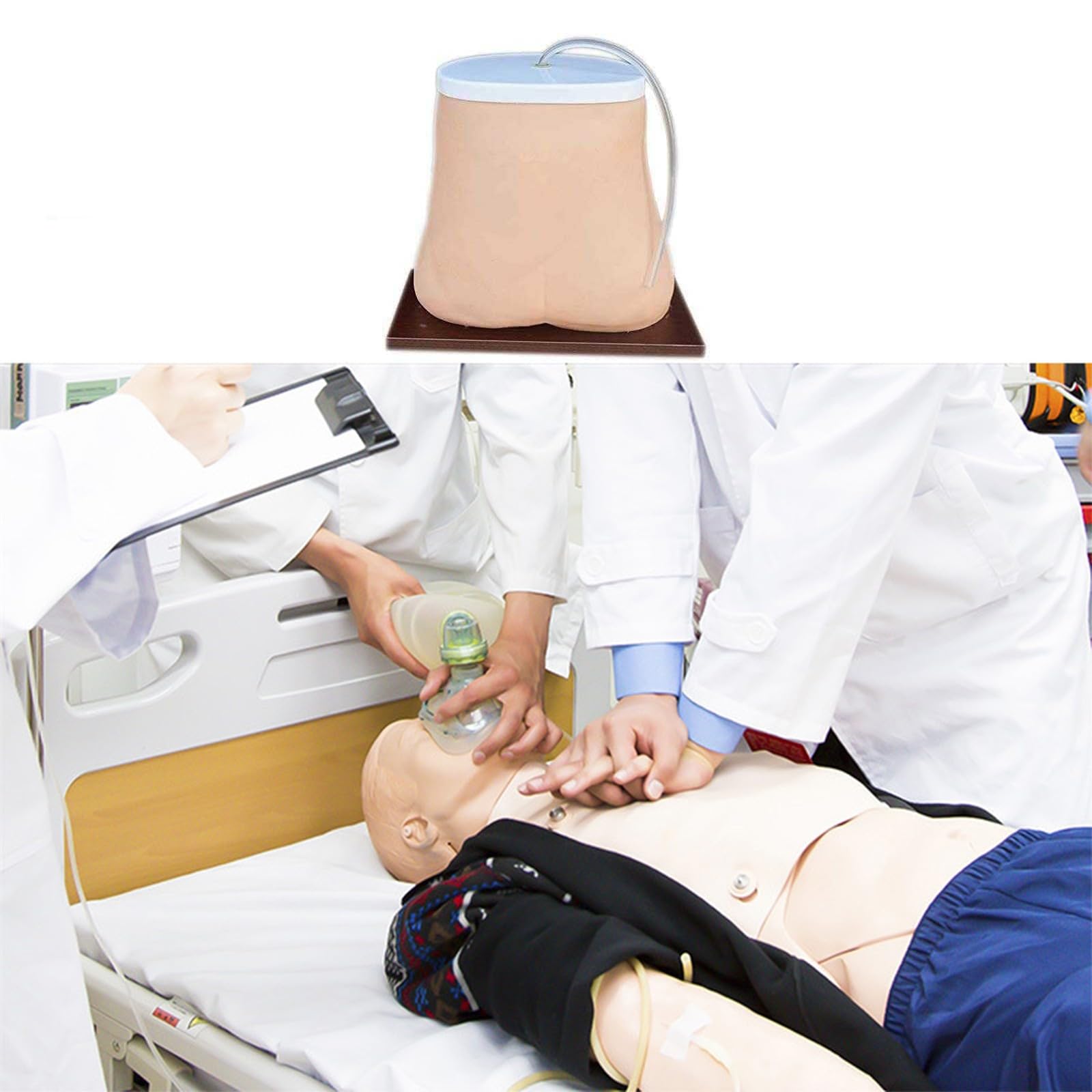 Mannequin de dialyse péritonéale humaine pour l'enseignement et formation