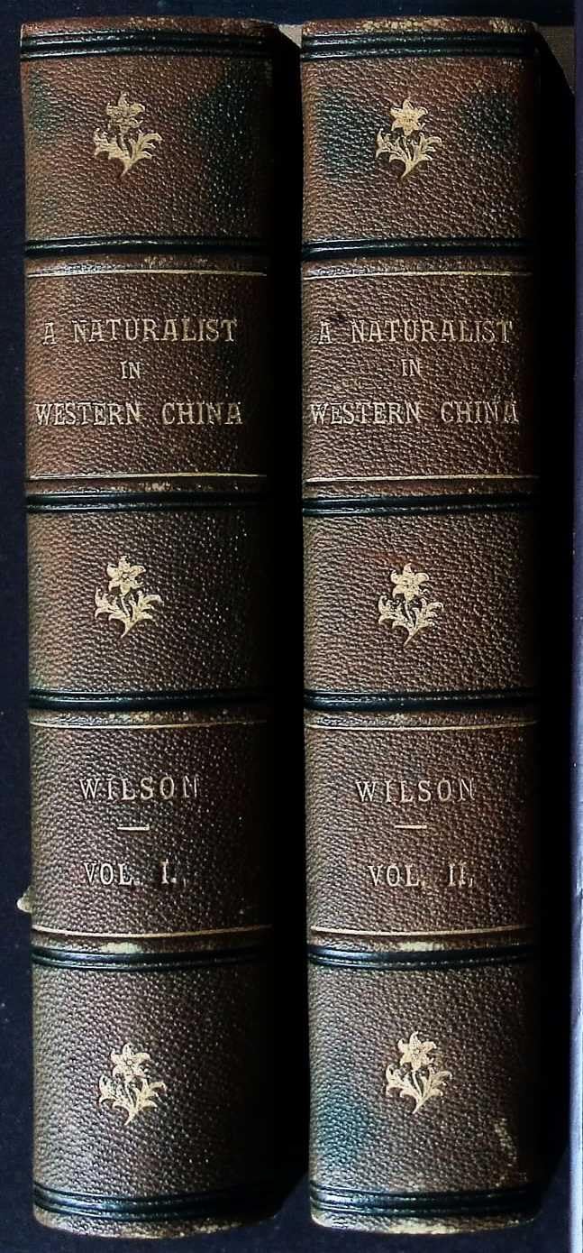 A Naturalist in Western China: With Vasculum, Camera, and gun, Being Some Account of Eleven Year's Travel, Exploration, and Observation in the More Remote Parts... [2 vols., 1913 prtg]      Hardcover – January 1, 1913