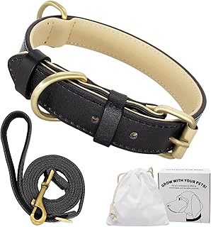 Ensemble collier et laisse en cuir souple véritable rembourré pour chien de petite, moyenne et grande taille (S (26 à 36 cm), noir)