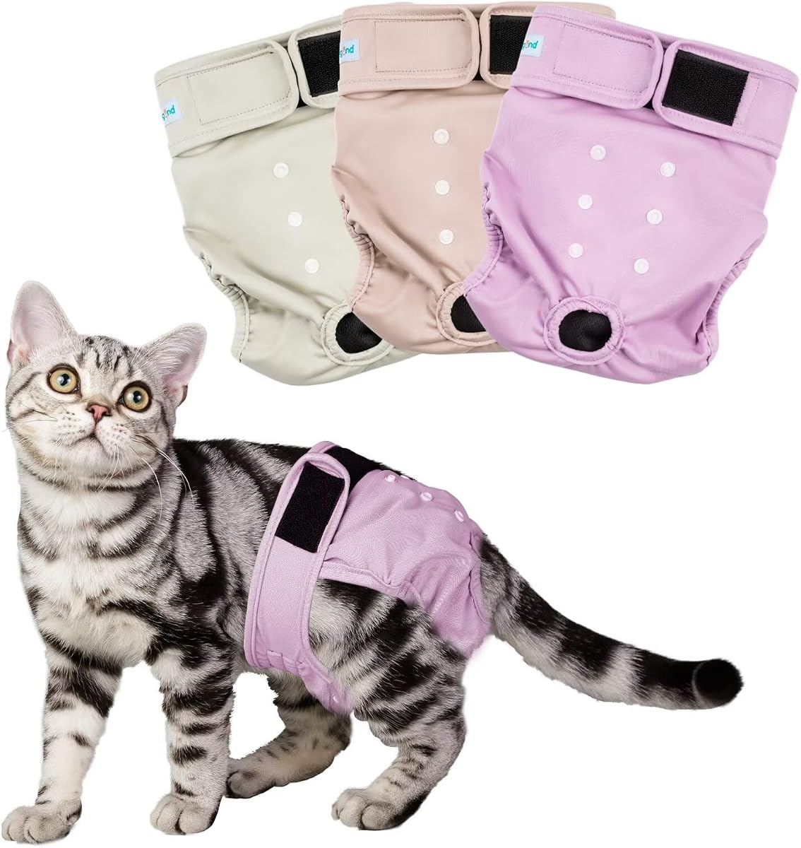 Paw Legend Cat Diapers for Female Cats Spraying Washable Reusable Kitten Diapers for Cats Incontinence Pet Diapers (3 Pack, X-Small)
