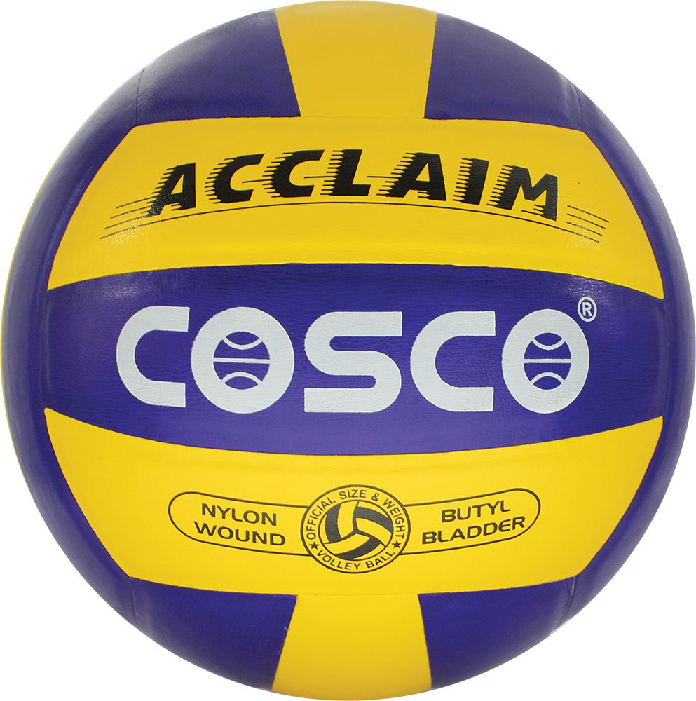 Cosco Volley Ball Acclaim (B071J1XBG8) Amazon Price History, Amazon Price Tracker