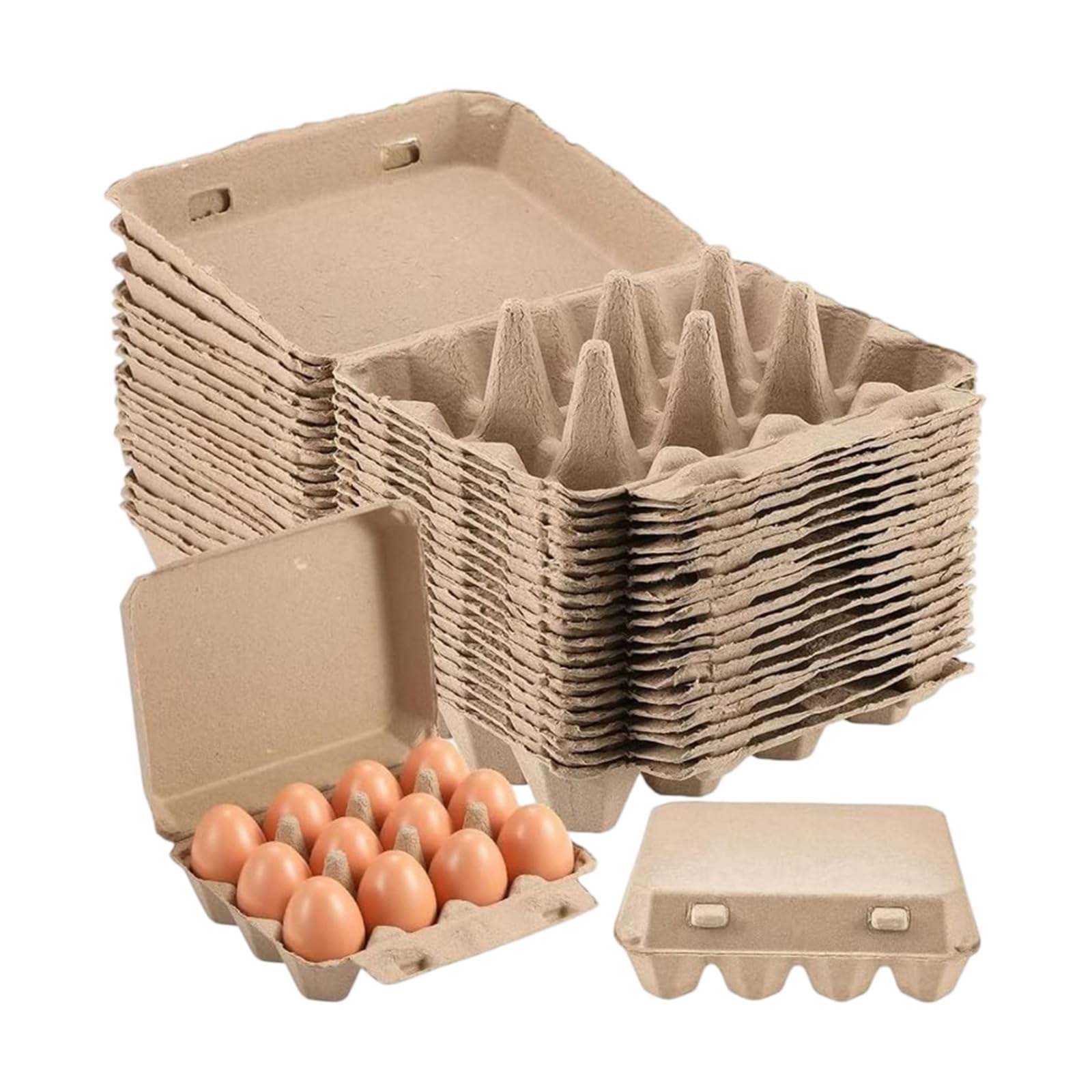 Xinsheinelry Of 50 Natural Paper Pulps Eggs Container with 12 Compartment Secure Storage Solution for Eggs Oocyte Carton