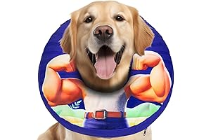 Inflatable Dog Cone Collar for Comfortable Post-Surgery Recovery