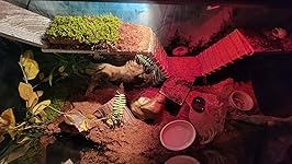 Review Image by Breanne Bateman Breanne Bateman