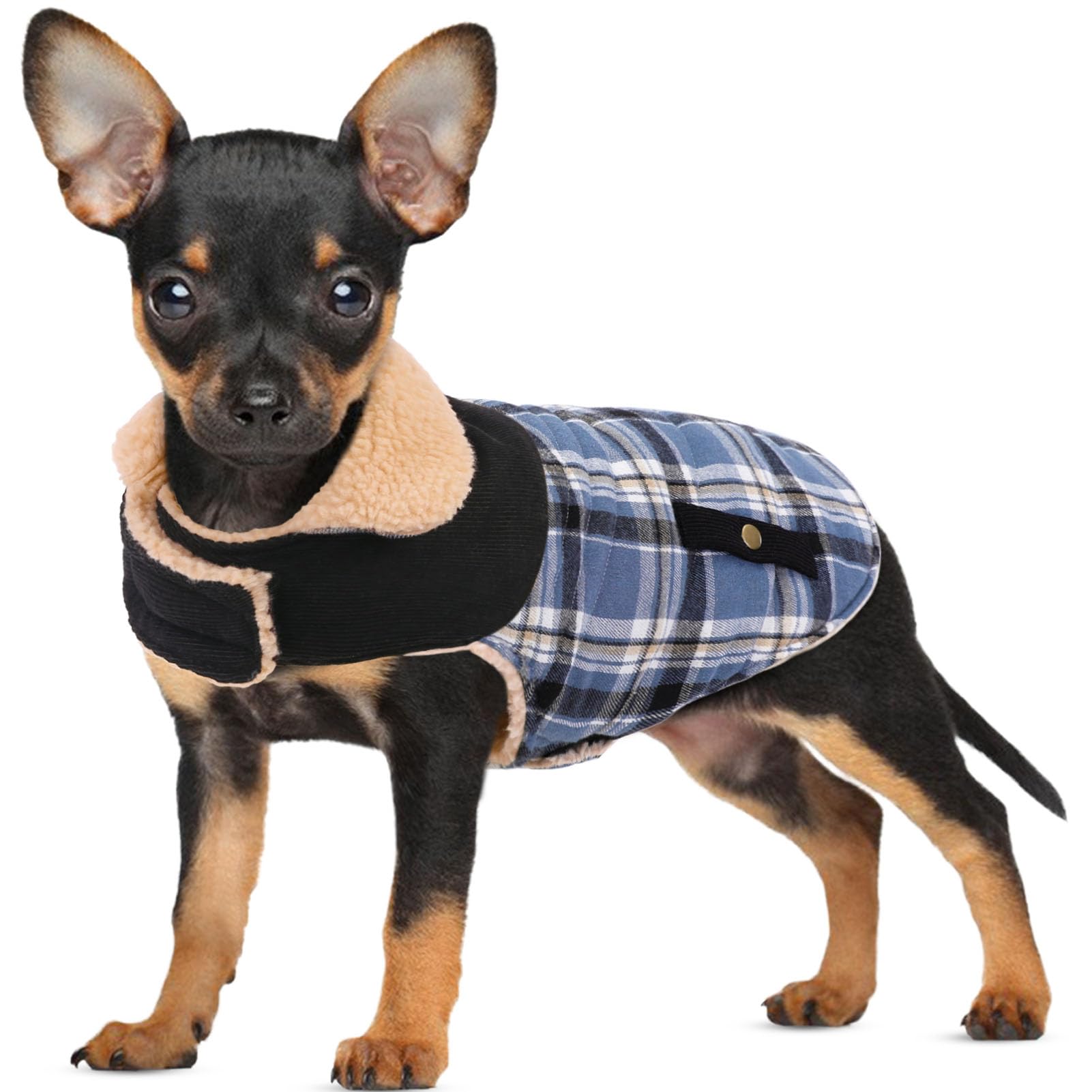 CITÉTOILE Dog Coat Warm Fleece Dog Jacket Blue S