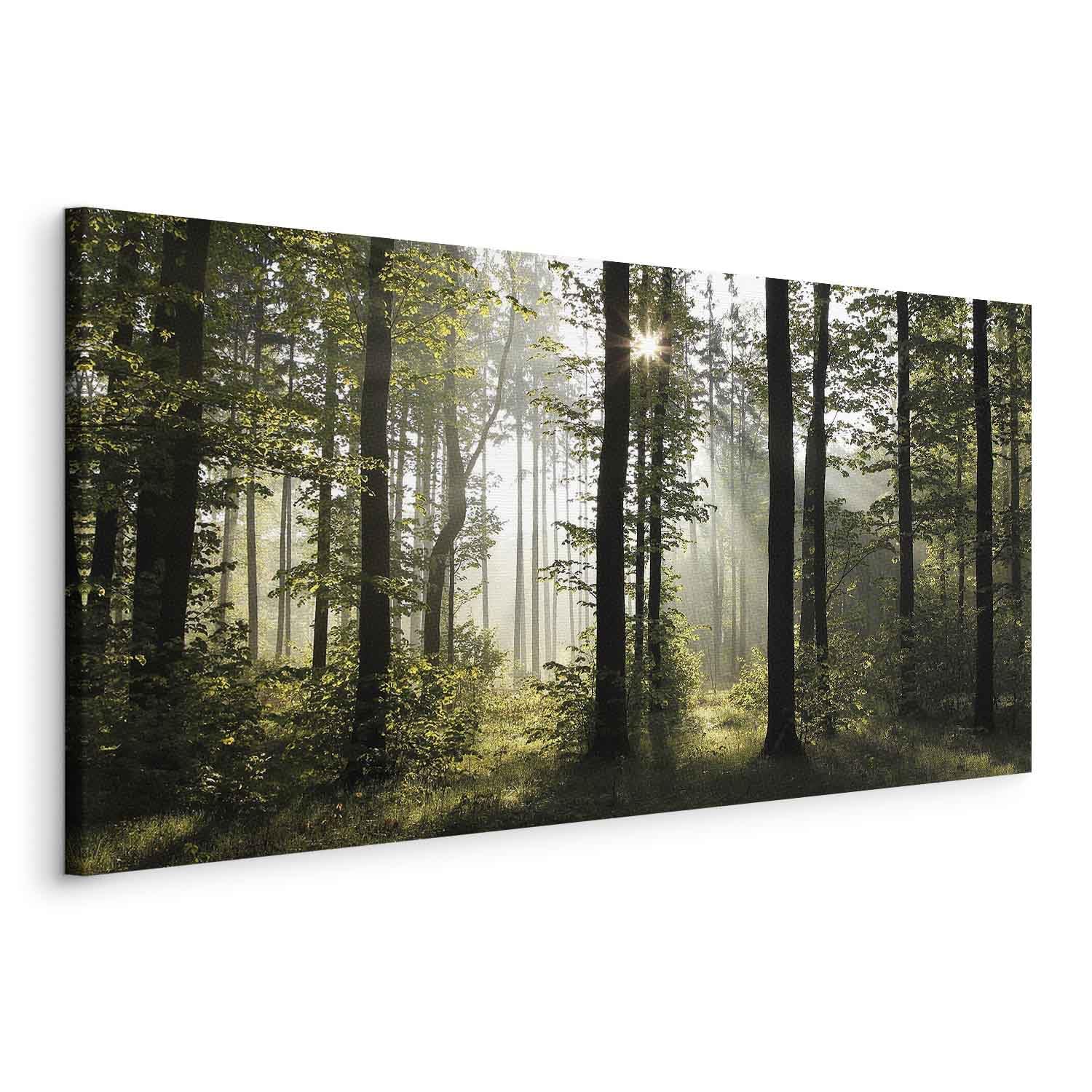 murando - Leinwandbild Wald schwarzer Holzrahmen, 140x70 cm, Schlafzimmer | Hochwertige Leinwand, sofort aufhängbar, ideal fürs Wohn- oder Schlafzimmer, wasserfest und lichtecht, langlebig, stilvoll