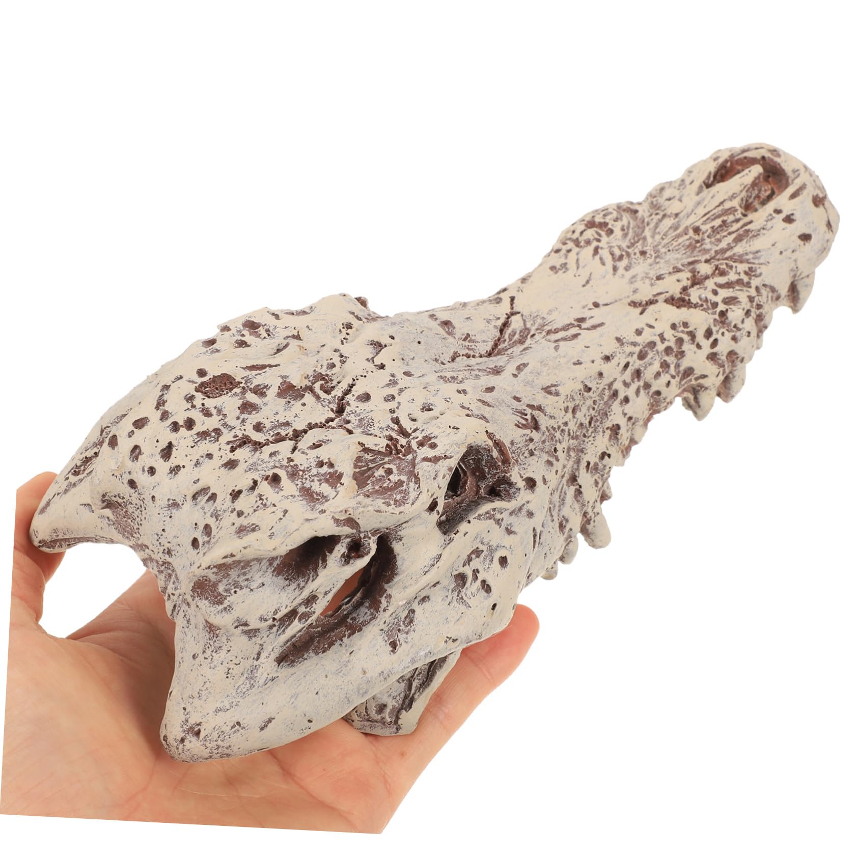 Décoration D’Aquarium Crâne en Résine Blanc pour Reptiles et Tortues | Halloween, Cachette et Escalade, Aspect pour Terrarium, Modèle Unique au Rendu Vivant