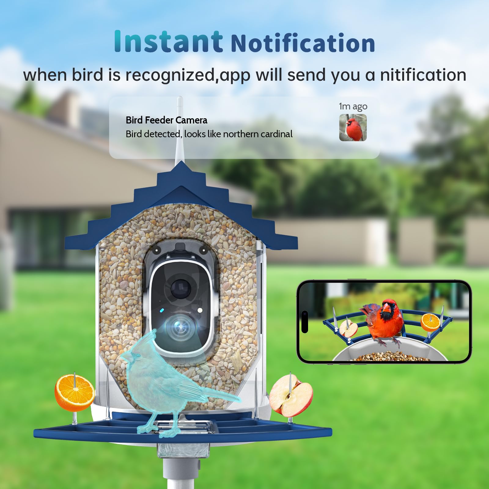 Comedero inteligente para pájaros con cámara, alimentado por energía solar e identificación Bi rd con IA, 2.4 GHz, WiFi, comederos para pájaros para exteriores, video en vivo 2K, alertas de llegada