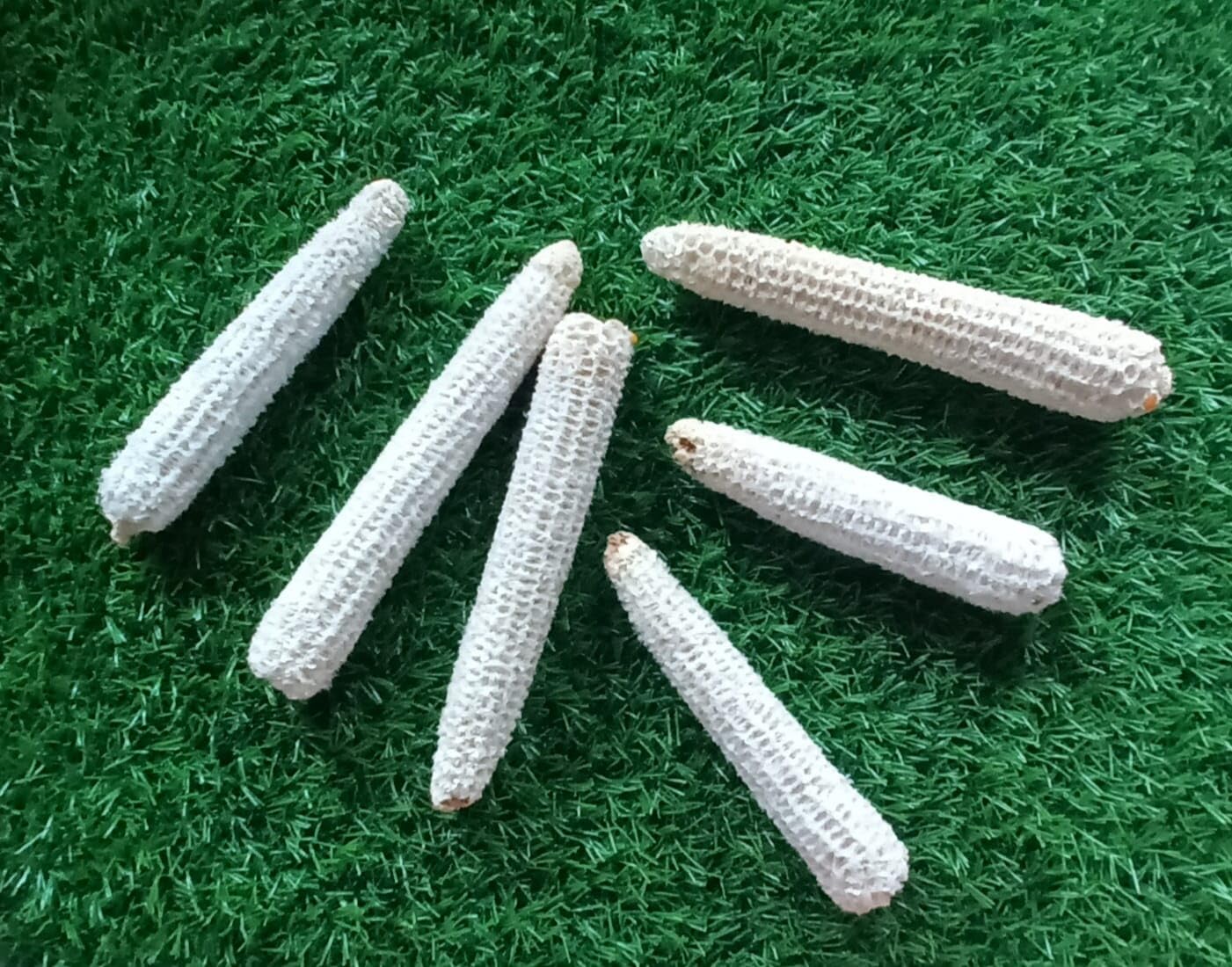 Ganga Jee's Natural Maize Cob Fire Starter for (Cooking |Fireplaces |Fire Pit| Lohri | Havan |Wood Stoves) - 500 gm.-image-15