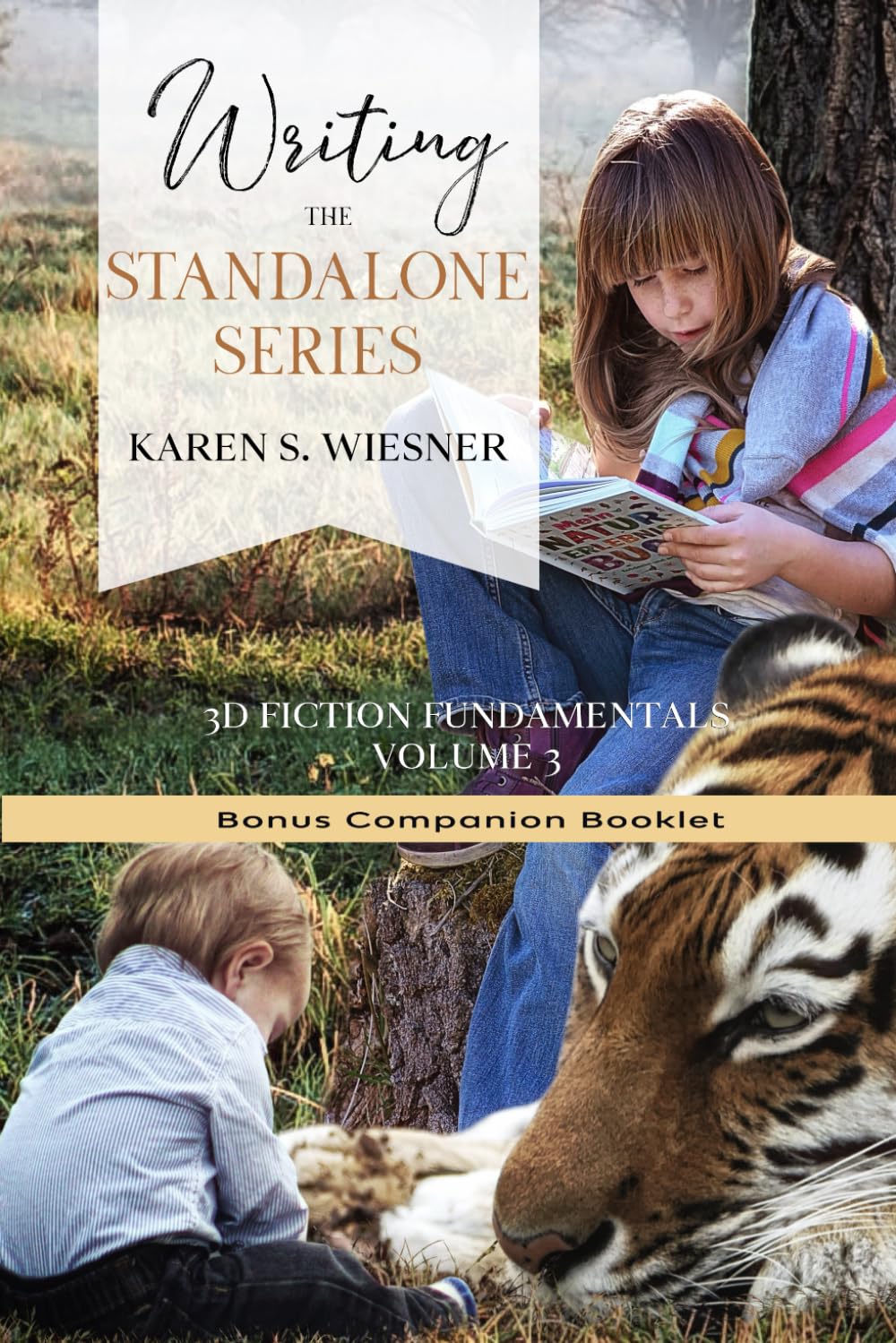 Writing The Standalone Series Bonus Companion Booklet (3D Fiction Fundamentals Collection)