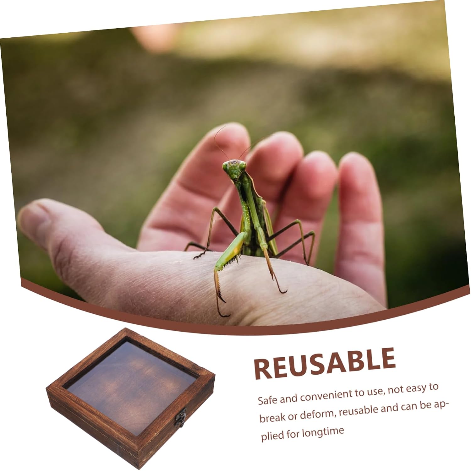 STOBAZA Entomology Display Case Insect Specimen Frame Box Wooden Collection Storage Case Jewelry Holder