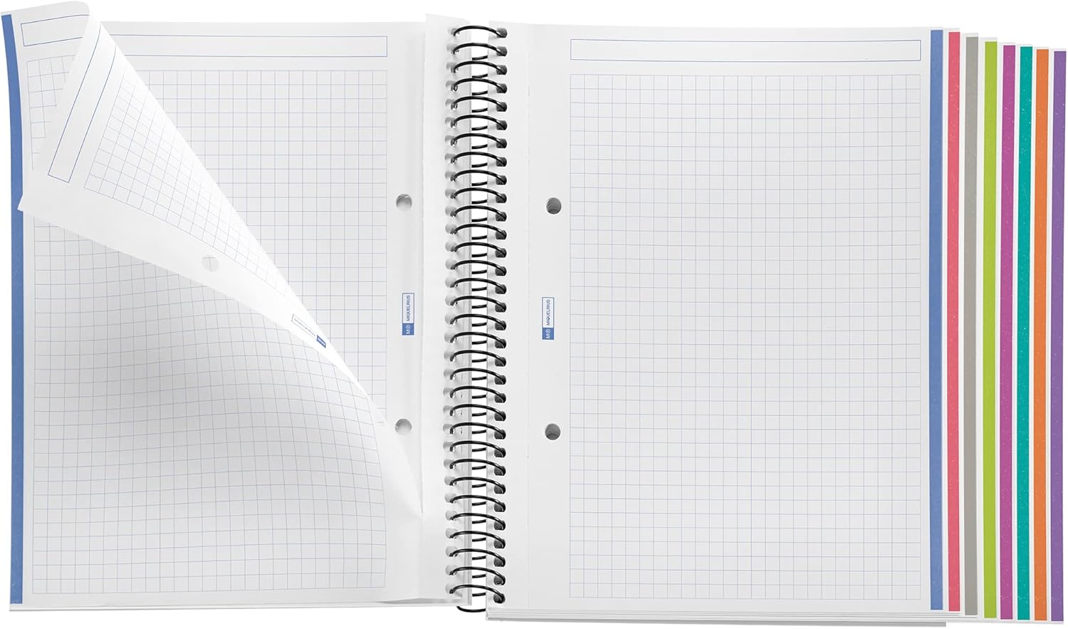 Miquelrius - The Original Notebook Notebook, 8 Coloured Stripes, Opaque Polypropylene Cover, A5 Size (148 x 210 mm), 2 Drills, 200 Sheets of 70 g/m², 5 mm Grid, Khaki