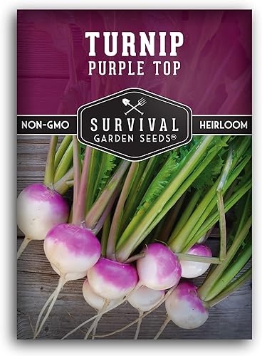 Miniatura 10 de Paquete de 5 semillas de nabo moradas para plantar, paquete con instrucciones para cultivar verduras saludables y vegetales de raíz en tu huerto