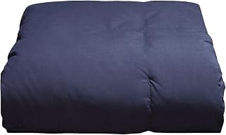 Blue Ridge Home Fashions Microfiber Down Alternative All Season Comforter-Hypoallergenic Polyester Fill